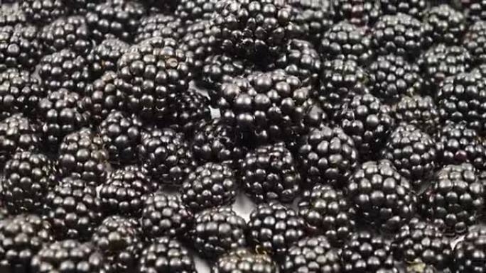 一堆新鲜采摘的黑莓，背景