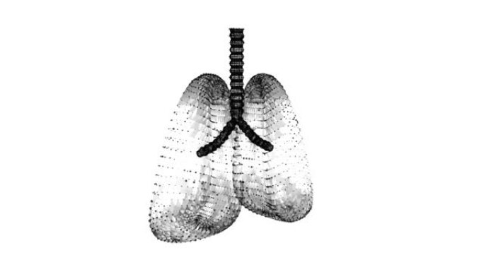 肺有气管支气管内脏的人。肺病学医学科学技术概念。线框低聚网格