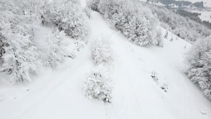 白雪和白霜覆盖了山顶的树木和山坡。冬季风景的雪白之美。无人机的俯视图。