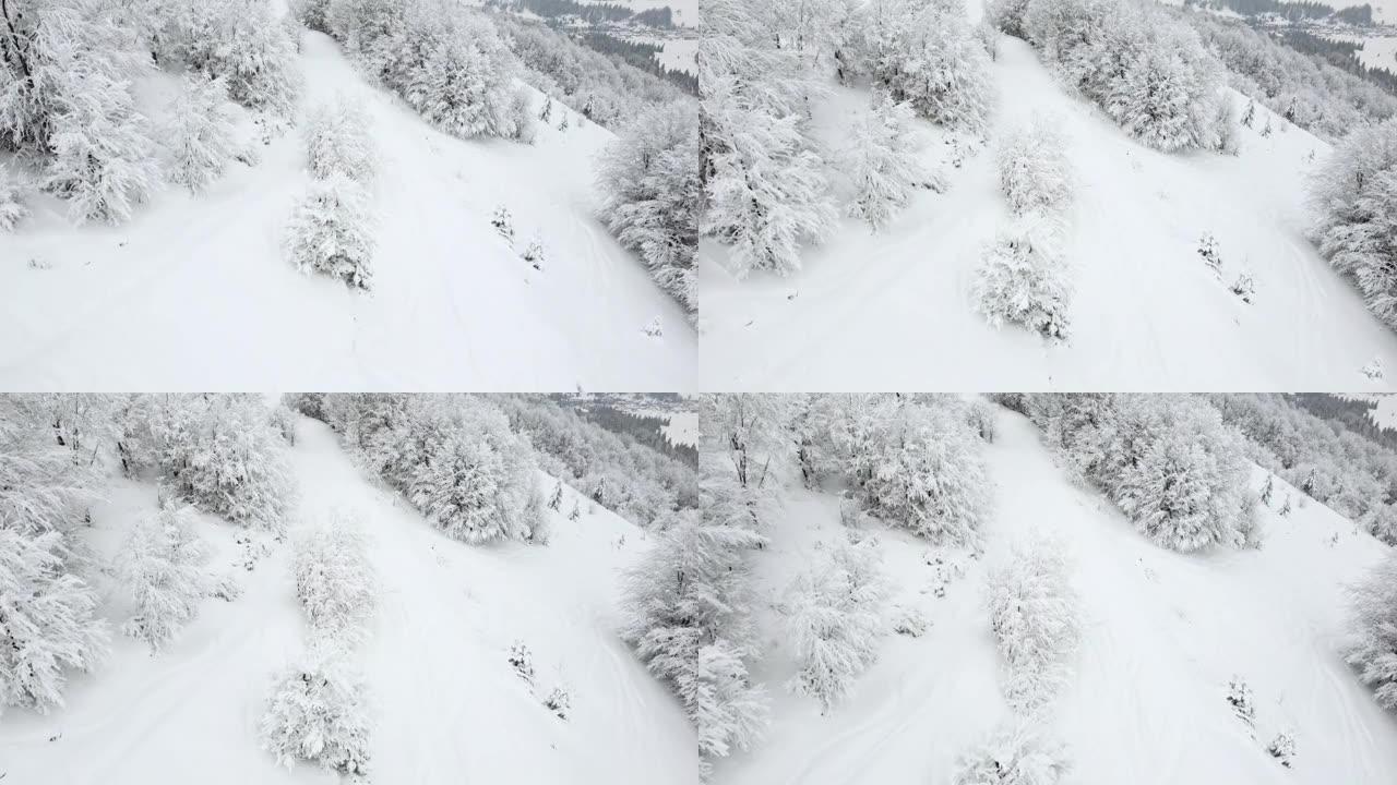 白雪和白霜覆盖了山顶的树木和山坡。冬季风景的雪白之美。无人机的俯视图。