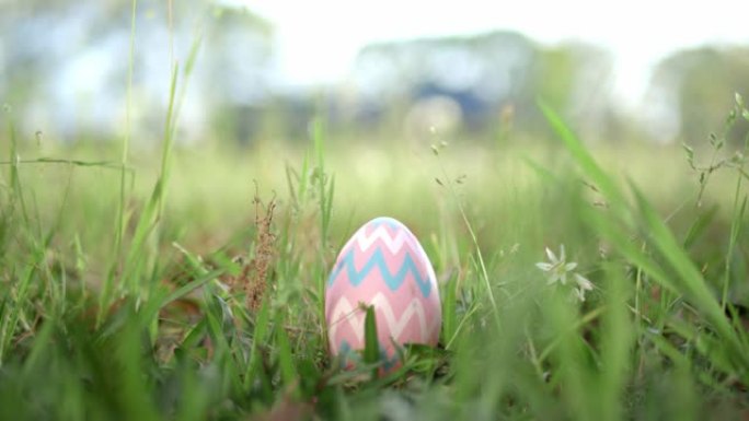 复活节彩蛋藏在草丛中寻找复活节彩蛋。
