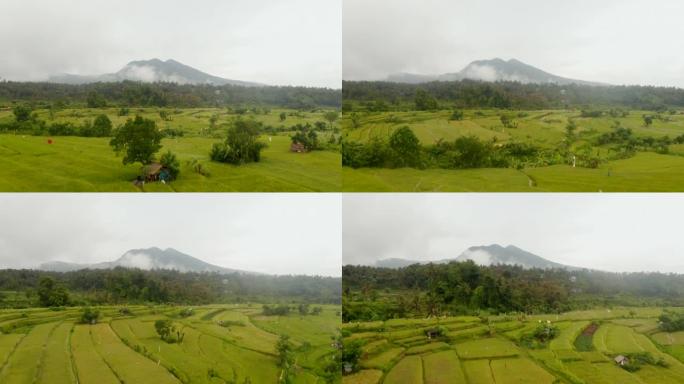 亚洲绿色稻田的缓慢鸟瞰图，背景为孤独的山峰。印度尼西亚巴厘岛郁郁葱葱的绿色农场种植园