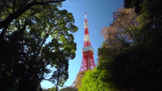 日本东京绿树顶的东京塔