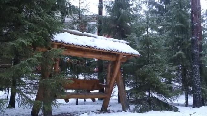 冬季降雪期间，公园内空木秋千，绿树成荫