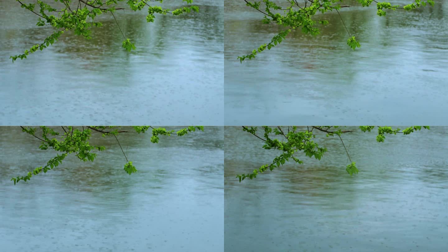 下雨天气水面雨滴水波纹延时