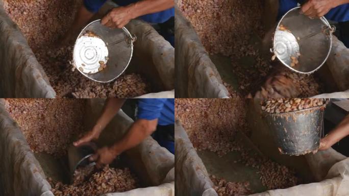 经过发酵制成巧克力的生可可豆。
