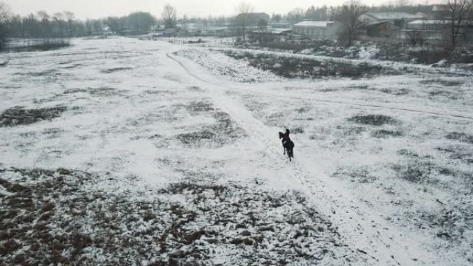 空中拍摄的黑发女人骑着一匹美丽的黑马在田野或冬天被雪覆盖的农场。骑马，马术运动。骑马的女骑手在白雪皑