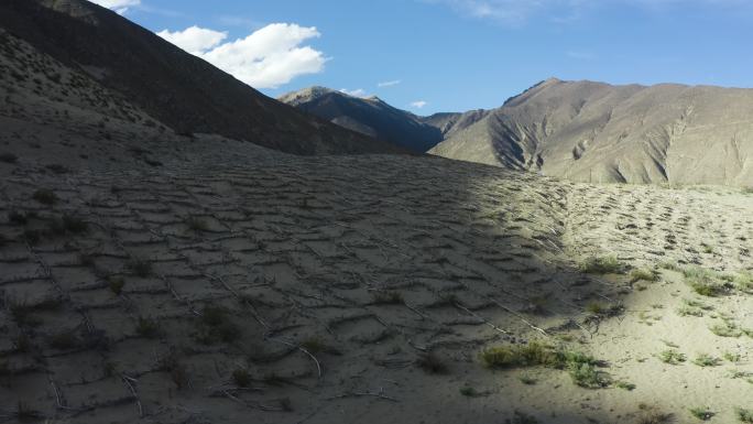 高原生态氧吧 种树造林 绿色基地 农村