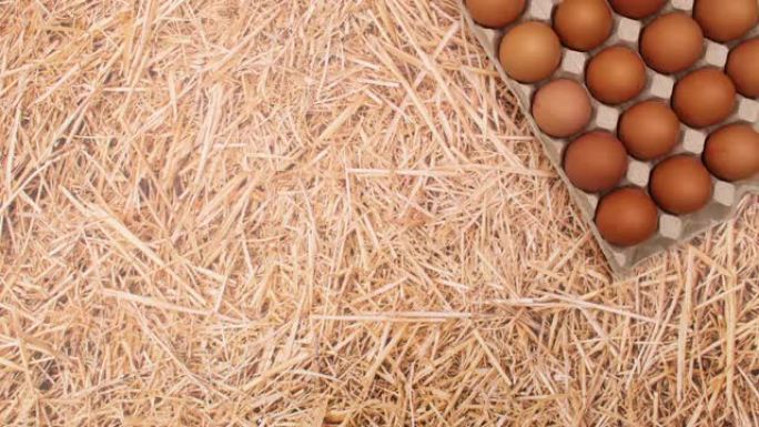 鸡蛋框出现在稻草主题上，鸡蛋出现在其中。停止运动