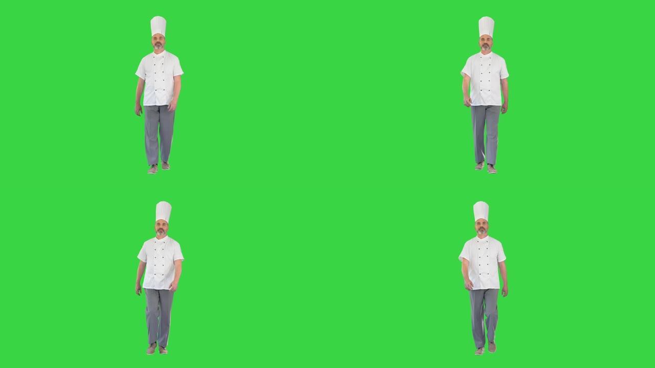 穿着白色制服的高级厨师走在绿色屏幕上，色键