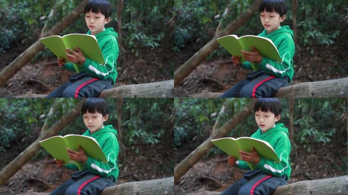 小男孩看书清新风笑声一片亲子时光