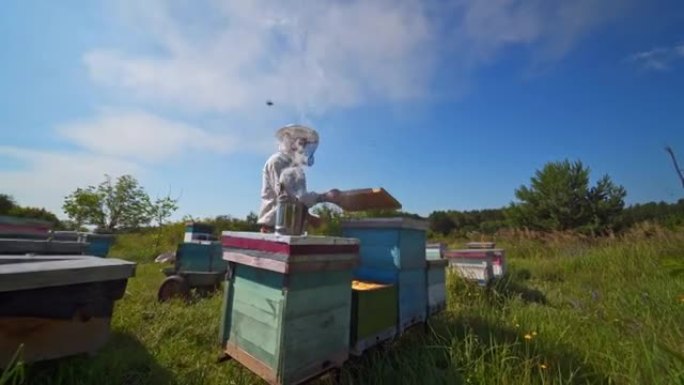 蓝天下的翠雀。蜂巢上有烟的烟囱。养蜂人夏天在木蜂箱附近工作。绿色自然中的养蜂业。