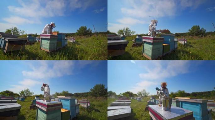 蓝天下的翠雀。蜂巢上有烟的烟囱。养蜂人夏天在木蜂箱附近工作。绿色自然中的养蜂业。