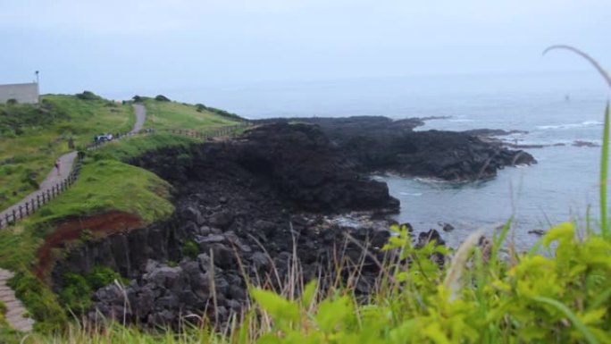 济州Seopjikoji岩石海滩上美丽的绿色景观。