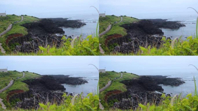 济州Seopjikoji岩石海滩上美丽的绿色景观。