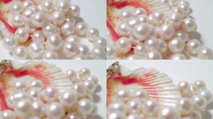 蛤蜊壳中的天然珍珠特写镜头。平滑运动和旋转