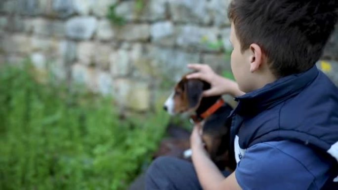 关心和温柔的男孩，抚摸着他的猎犬，而他们则在玩耍中休息一下