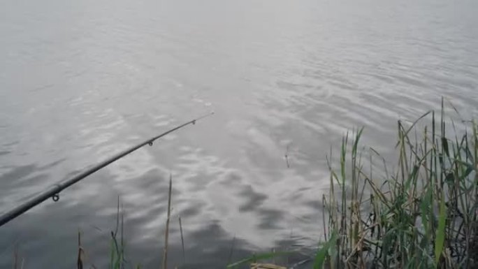 钓鱼漂浮在水中的特写镜头。水上钓鱼竿。以河水为背景的钓鱼竿。渔夫的生活方式概念。在湖上钓鱼。等一口大