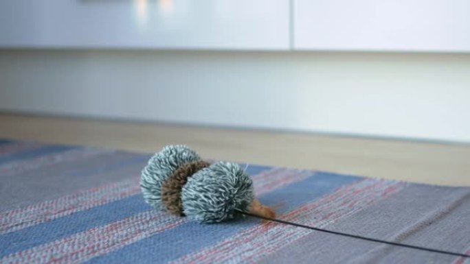 在不起毛的地毯上，有一根白色橙色的羽毛，一只猫的毛圈玩具被一根黑色的绳子沿着地毯慢慢拉着。特写