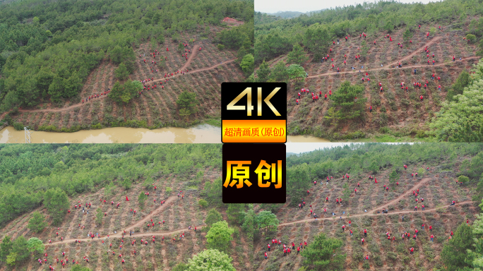 【4K】植树航拍（党员、志愿者植树）