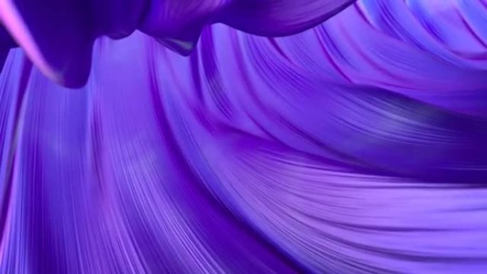 紫色曲线流3D渲染无缝循环动画