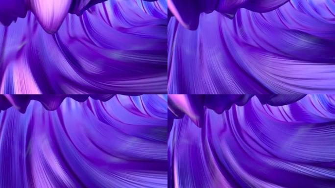 紫色曲线流3D渲染无缝循环动画