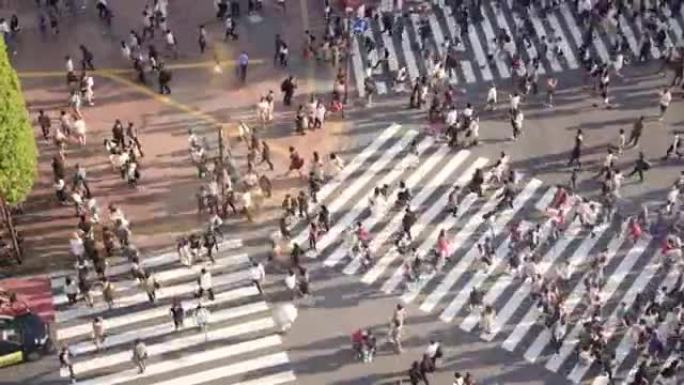 人群穿越斑马线，日本东京。