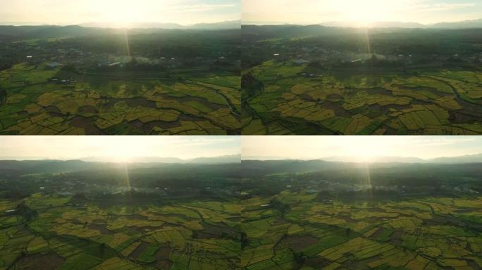 日落鸟瞰图水稻自然