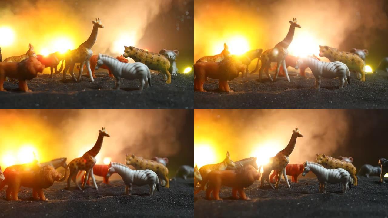 在雾蒙蒙的夜晚，一群动物被聚集在一起，背景燃烧着五颜六色。为了从火中拯救生命而逃跑的动物。选择性聚焦