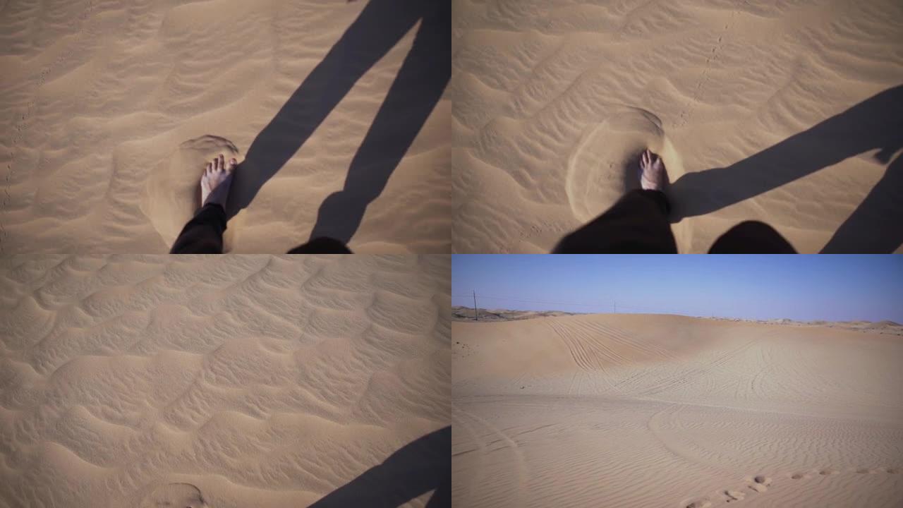 沙漠中的骆驼。骆驼农场。骆驼午餐，咀嚼。骆驼，骆驼。沙漠中骆驼的史诗视频。撒哈拉沙漠。阿联酋航空。阿