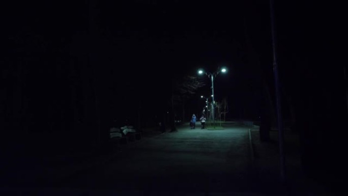 在公园里散步。晚上，空荡荡的城市公园里的街道或小路。灯笼发出的光。人们在走路。从后面看。多雾，凉爽的