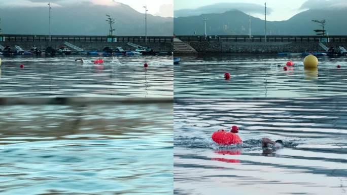 体育游泳比赛东泳清澈的水