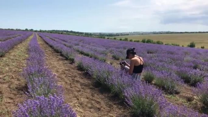 美丽的女人在阳光明媚的日子里拍摄薰衣草。法国普罗旺斯一排排盛开的薰衣草地。美丽的花朵丁香拉瓦德纳香精