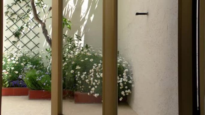打开带白花的小花园的大门