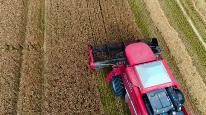 鸟瞰图与无人机上方的红色联合收割机，收获谷物作物在农业领域