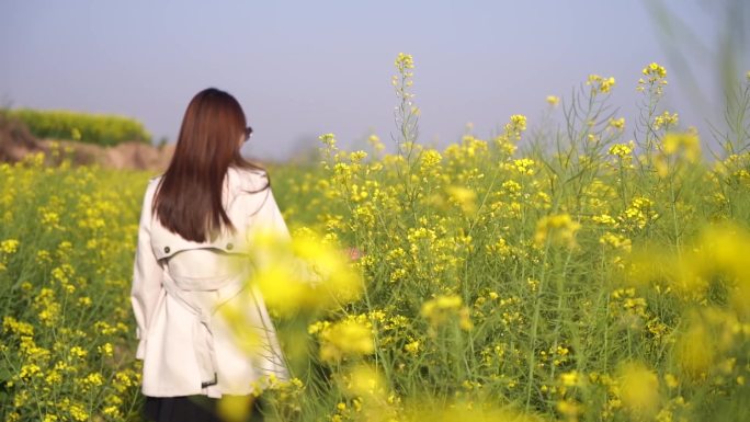 油菜花海少女小姐姐打卡亲近自然