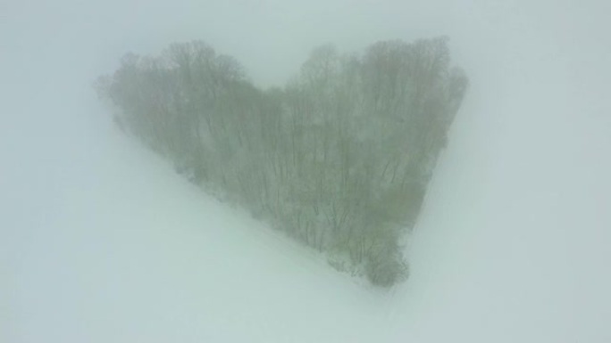 无人机在真正的心形森林上射击。雪域背景下的浪漫现象。情人节的冬天。