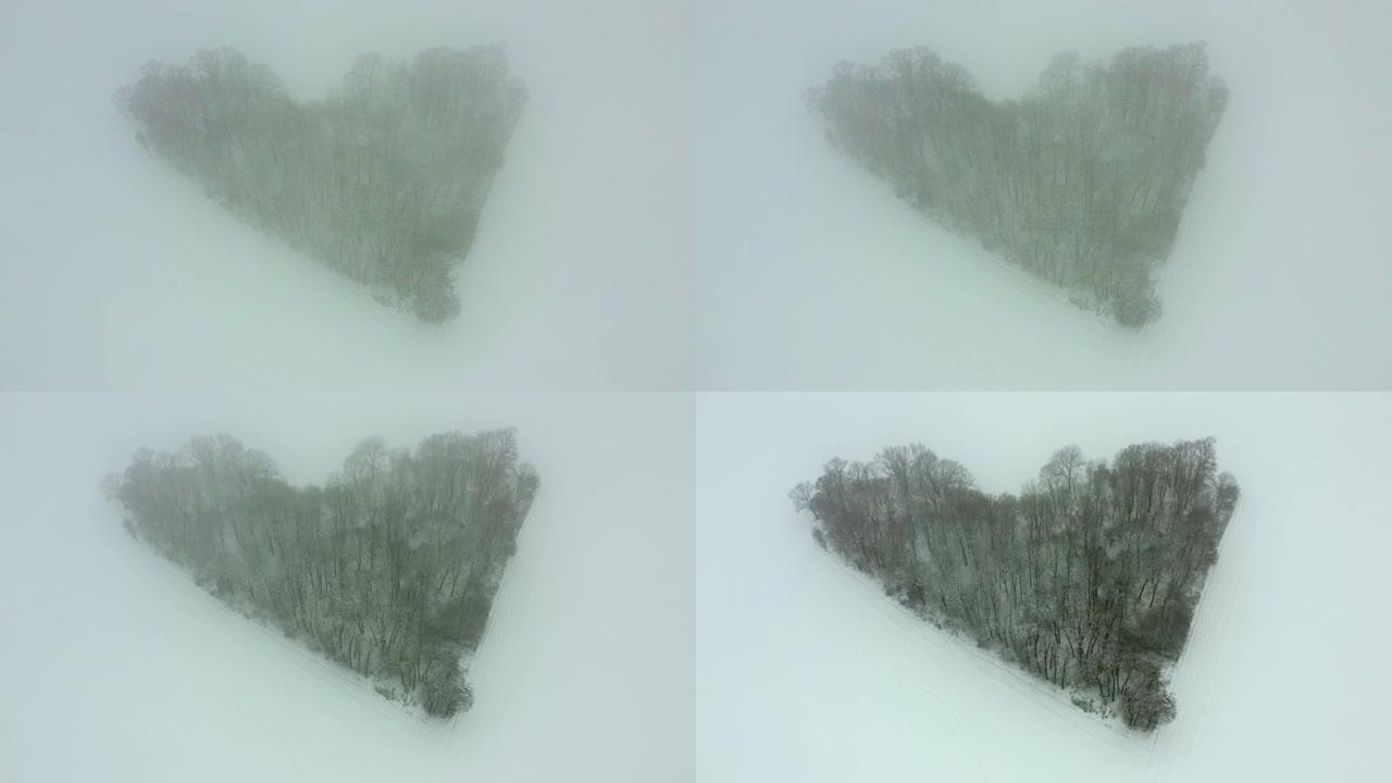 无人机在真正的心形森林上射击。雪域背景下的浪漫现象。情人节的冬天。