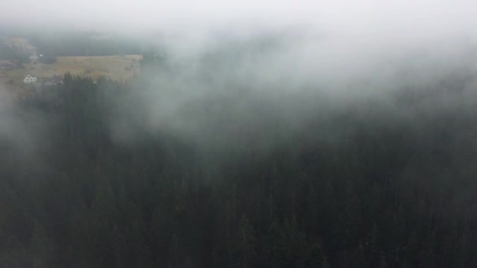 喀尔巴阡山脉森林附近道路的风景鸟瞰图