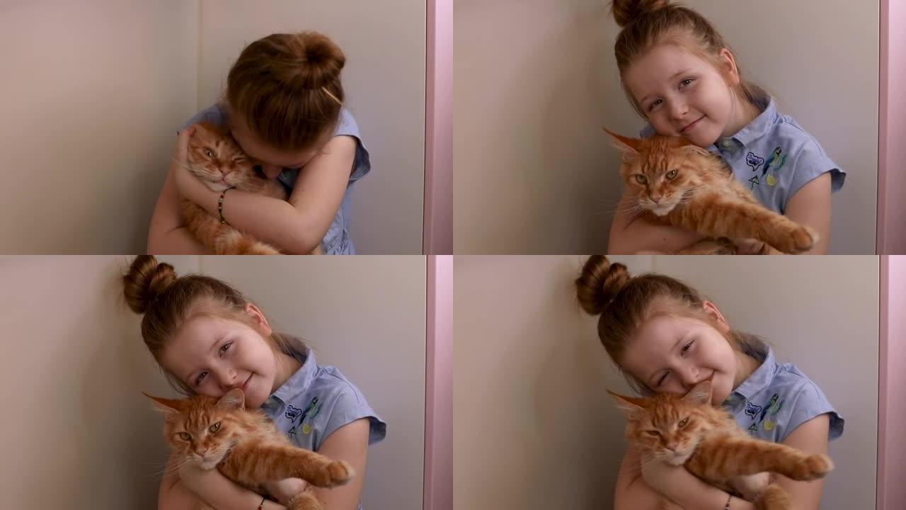 可爱的红发小女孩和一只红色的缅因浣熊猫玩耍，拥抱，亲吻他，挤压，特写，有趣的猫