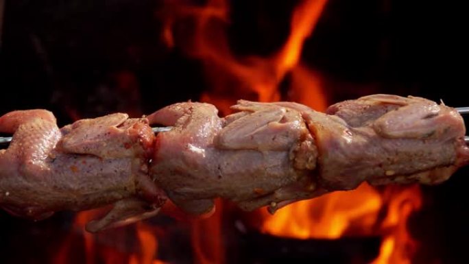 腌鹌鹑肉串在长串上
