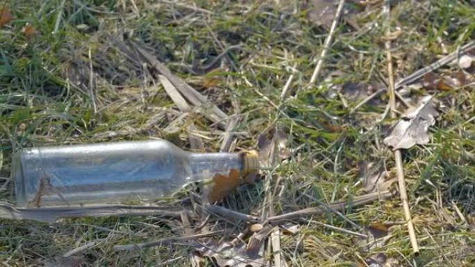 爱沙尼亚草地上的一瓶垃圾