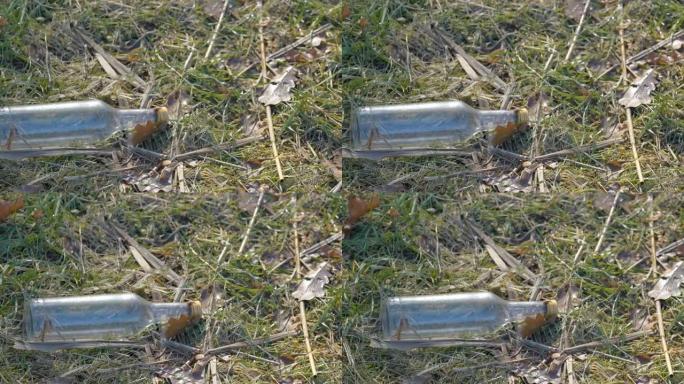 爱沙尼亚草地上的一瓶垃圾