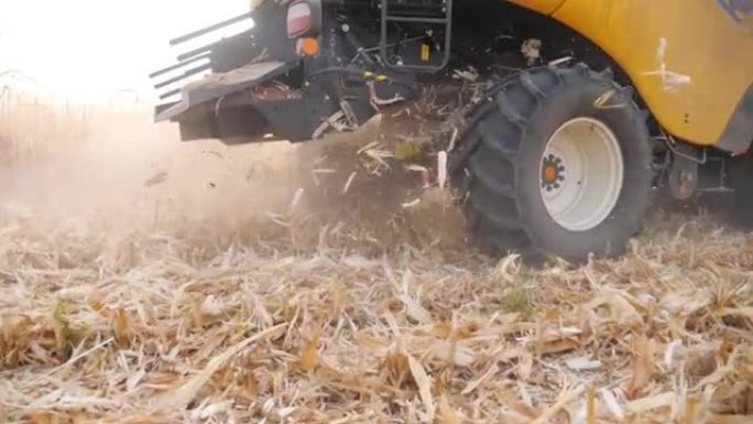 相机跟踪收割机收集玉米作物，留下废物。关闭在玉米田或农场工作的联合收割机的大旋转轮。农学概念。慢动作