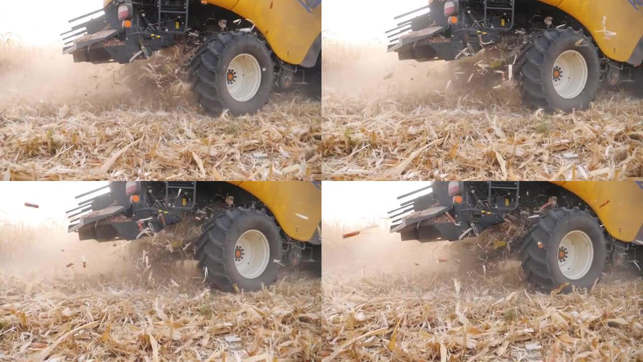 相机跟踪收割机收集玉米作物，留下废物。关闭在玉米田或农场工作的联合收割机的大旋转轮。农学概念。慢动作