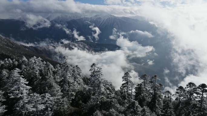 雪山雾凇梅里雪山云海大雪雪白的山雪景