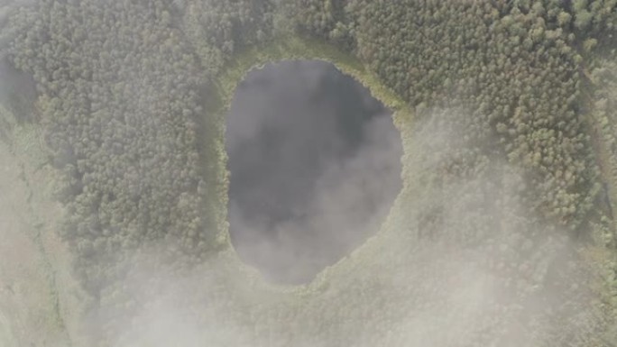 Aerial view of round shaped pond in autumn forest.