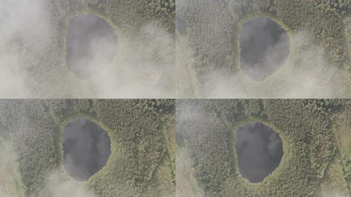 Aerial view of round shaped pond in autumn forest.