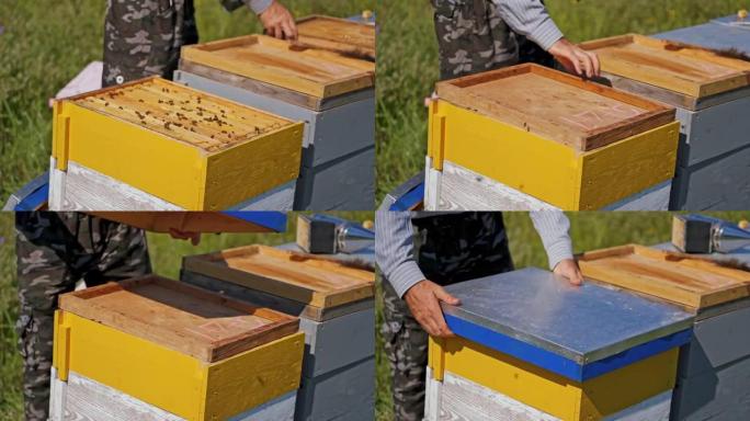 木制蜂巢。养蜂人在夏天检查蜜蜂后关闭蜂箱。特写。养蜂业概念。