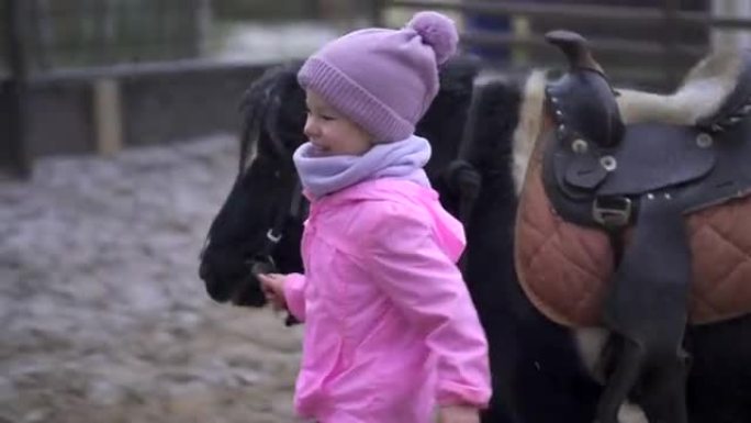 孩子牵着小马。女孩控制和走马。在农场运动
